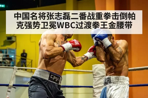 中国名将张志磊二番战重拳击倒帕克强势卫冕WBC过渡拳王金腰带