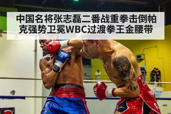 boxing knockout punch