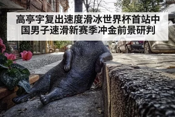高亭宇复出速度滑冰世界杯首站中国男子速滑新赛季冲金前景研判